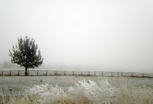 Winter Image